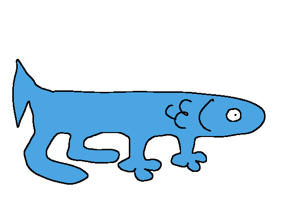 fish 5